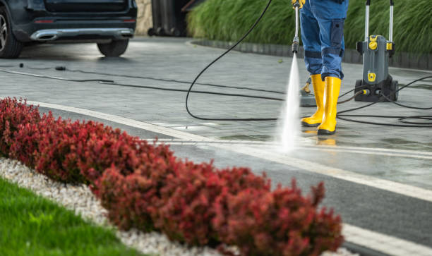 Best Driveway Pressure Washing  in Port Arthur, TX